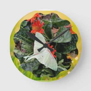 Horloge Ronde Captivant Luna Moth