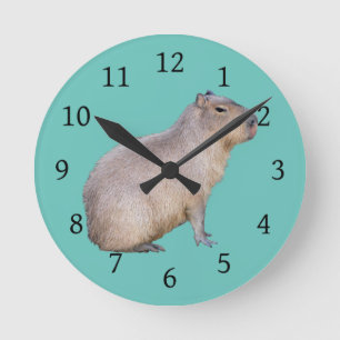 Horloge Ronde Capybara