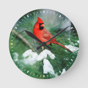 Horloge Ronde Cardinal rouge mâle sur un arbre, IL