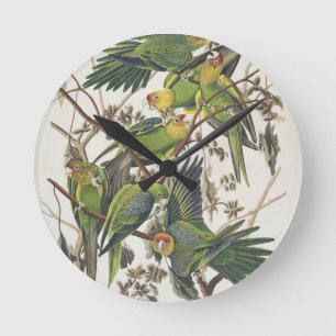 Horloge Ronde Carolina Parakeet, de 'Birds of America', 1829