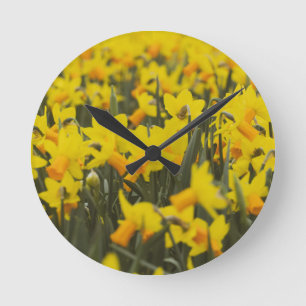 Horloge Ronde Carrelage en céramique Daffodique Field