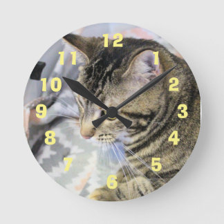 Horloge Ronde Cat