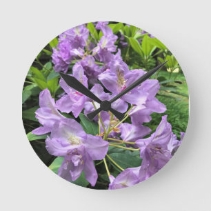 Horloge Ronde Catawbiense Boursault Rhododendrons, Oregon