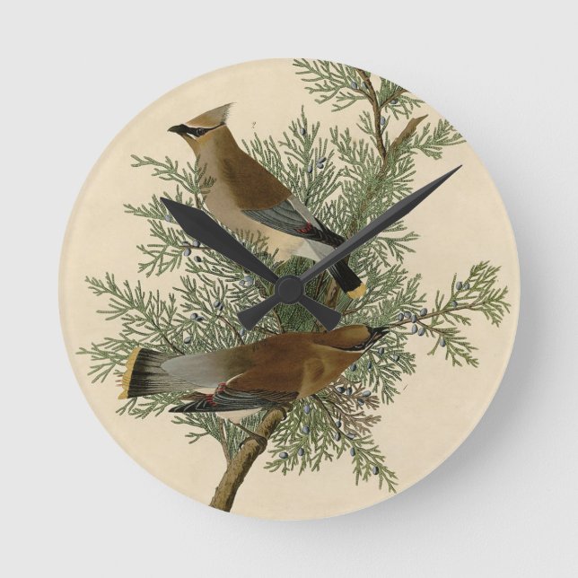 Horloge Ronde Cèdre Audubon (Recto)