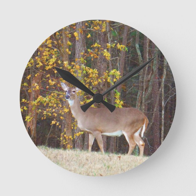 Horloge Ronde Cerf devant l'arbre d'automne jaune (Recto)