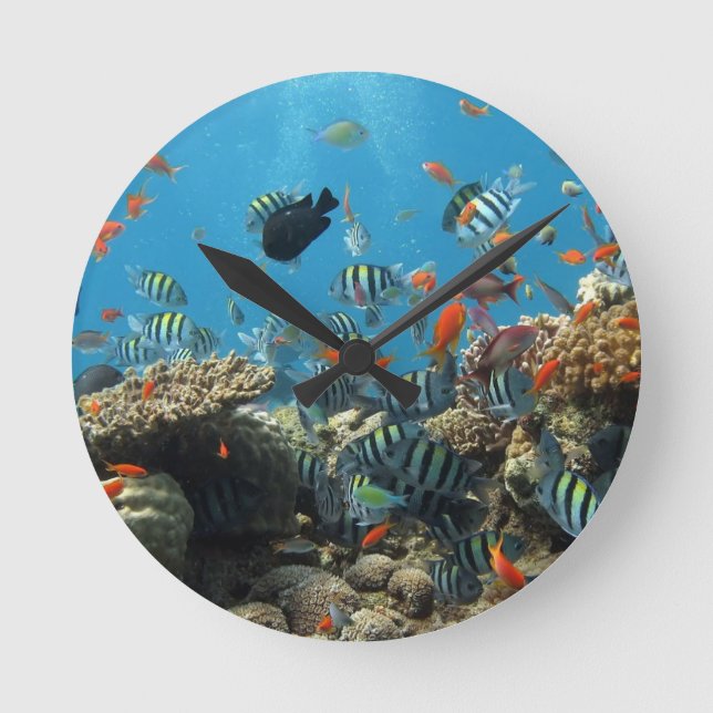 Horloge Ronde Chaos de la pêche tropicale (Recto)
