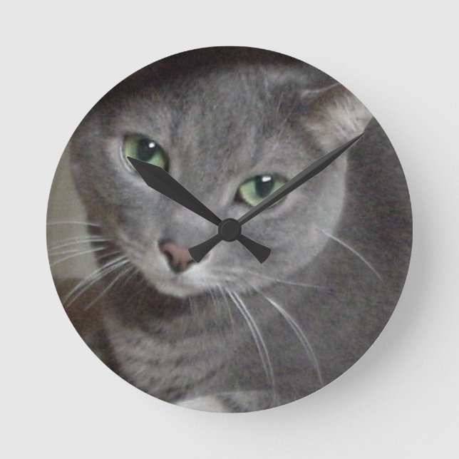 Horloge Ronde Chat bleu russe (Recto)