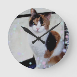 Horloge Ronde Chat de calicot