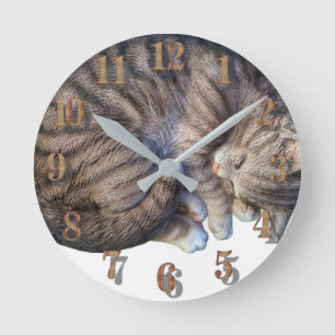 Horloge Ronde Chat enroulé en dormant mignon confortable