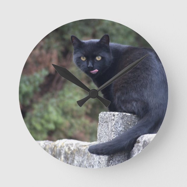 Horloge Ronde Chat noir (Recto)