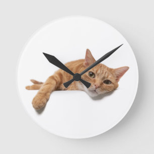 Horloge Ronde Chat Orange Posé En Bas