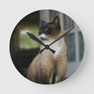 Horloge Ronde Chat siamois sur le porche