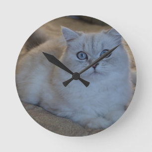 Horloge Ronde chaton