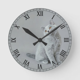 Horloge Ronde chaton britannique shorthair