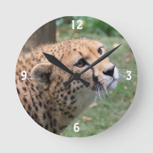 Horloge Ronde Cheetah sucré aux yeux appétissants