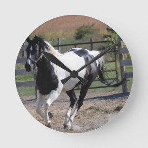 Horloge Ronde Cheval Pinto Paint