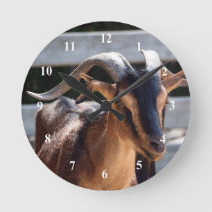 Horloge Ronde Chèvre Noir Cornes Brown Photo animal