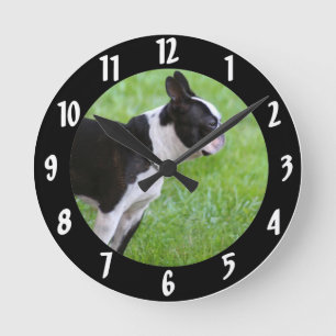 Horloge Ronde Chien de Boston Terrier