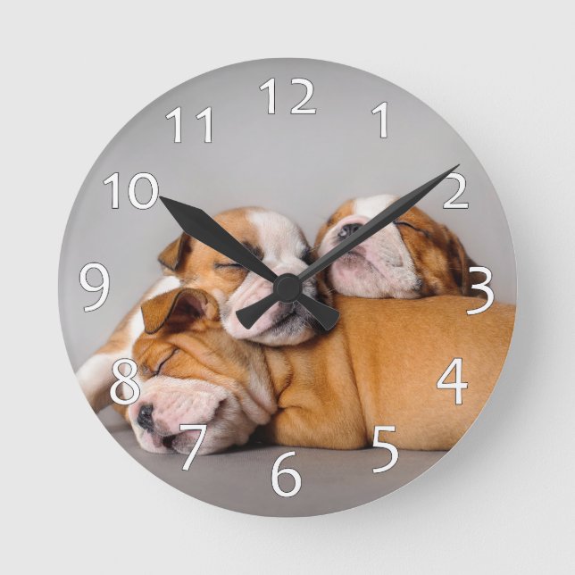 Horloge Ronde Chien de taureaux anglais dormant (Recto)