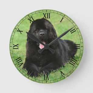 Horloge Ronde Chien de Terre-Neuve