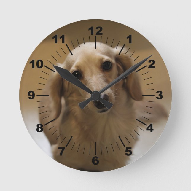 Horloge Ronde Chien mignon (Recto)