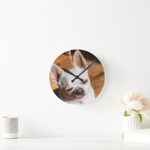 Horloge Ronde Chihuahua somnolent squint langue détendue dehors 
