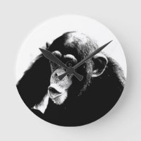 Chimpanzé noir blanc