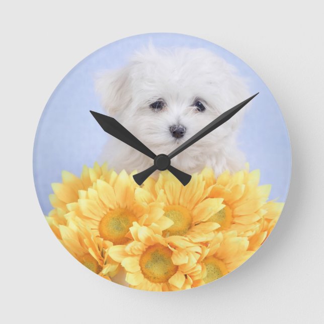 Horloge Ronde Chiot maltais (Recto)