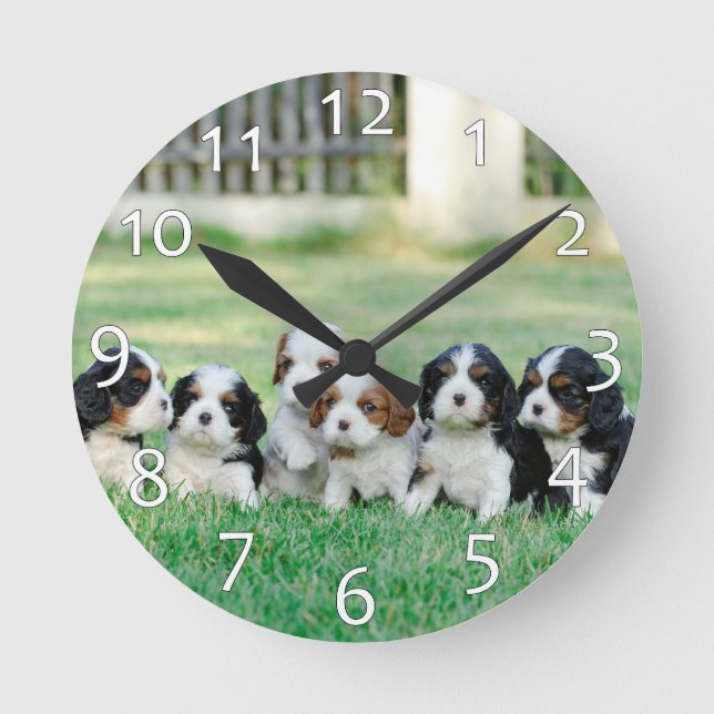 Horloge Ronde Chiots Cavalier King Charles Spaniel (Recto)