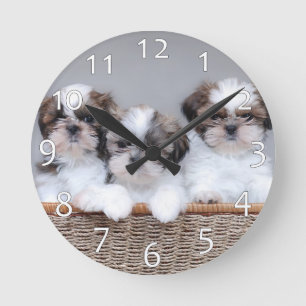Horloge Ronde Chiots de Shih Tzu