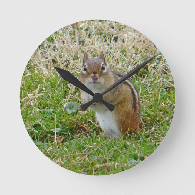 Horloge Ronde Chipmunk oriental (Recto)