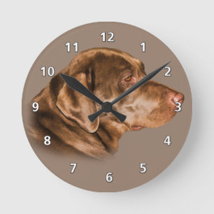 Horloge Ronde Chocolat labrador retriever
