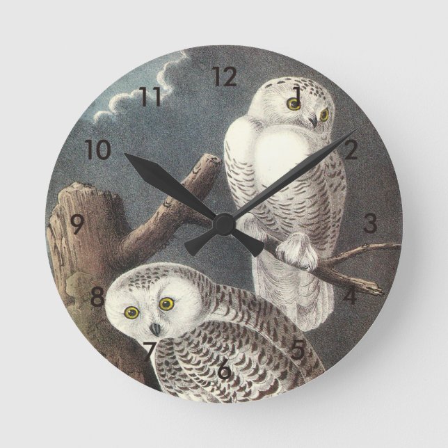 Horloge Ronde Chouette des neiges par Audubon (Recto)