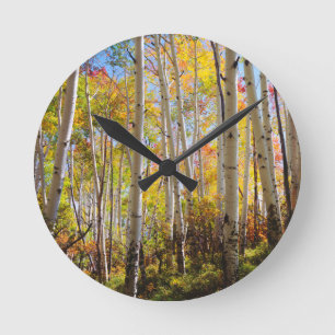 Horloge Ronde Chute d'Aspen trees 5