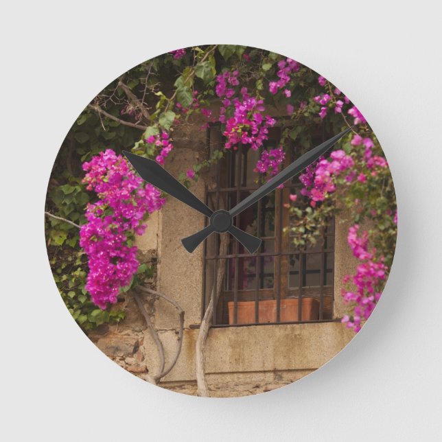 Horloge Ronde Ciudad Monumental, flower-covered buildings (Recto)