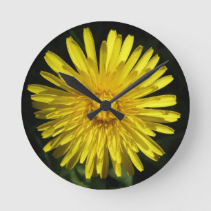 Horloge Ronde Clock de Dandelion
