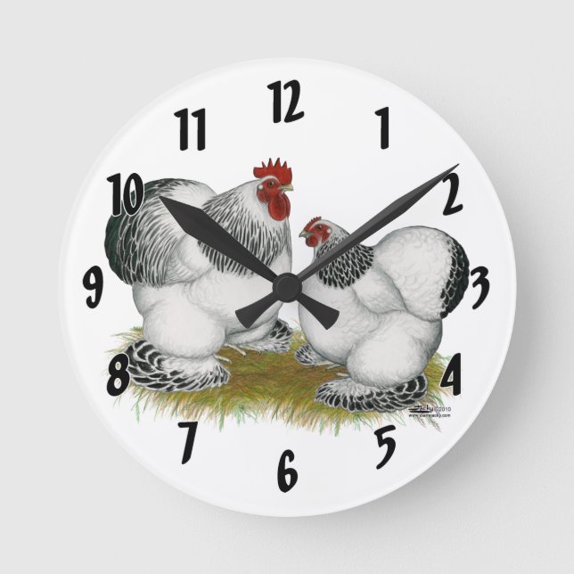 Horloge Ronde Cochin Columbian Bantams (Recto)