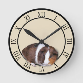 Horloge Ronde Cochon de Guinée mignon