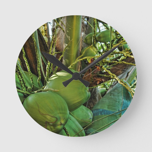 Horloge Ronde Coconuts Island Palm Tree Caraïbes USVI (Recto)