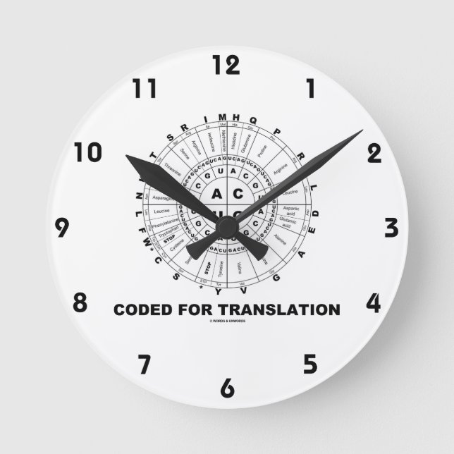 Horloge Ronde Code De Traduction (RNA Codon Wheel) (Recto)