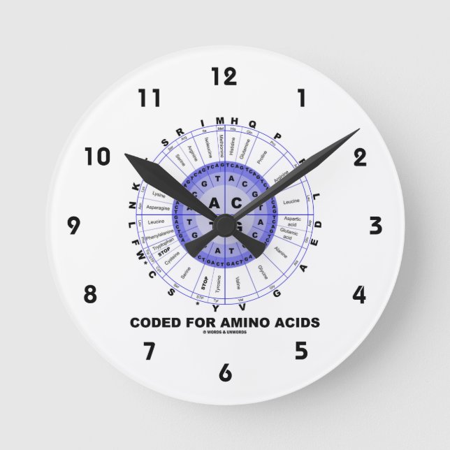 Horloge Ronde Codé pour les acides aminés (ADN de code (Recto)
