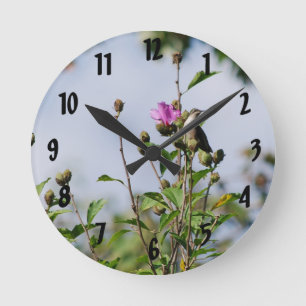 Horloge Ronde Colibri été perché