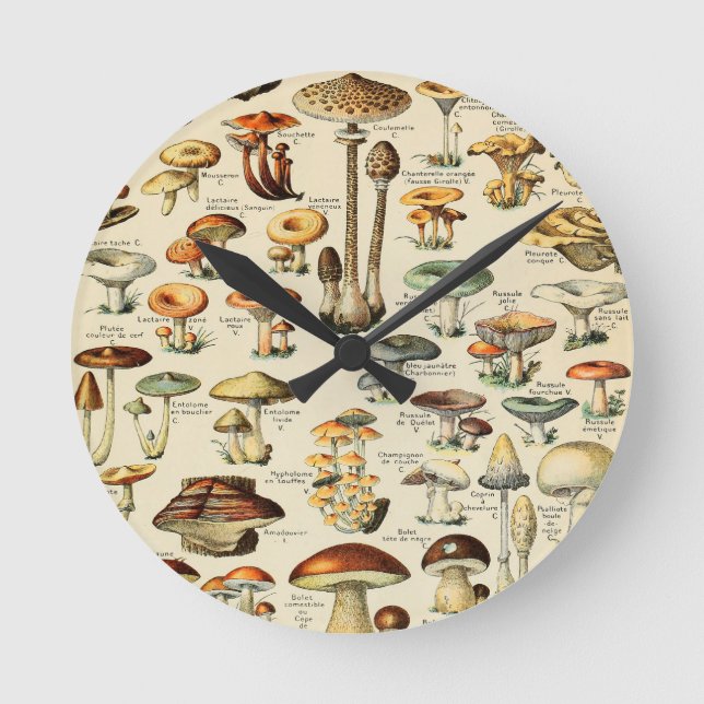 Horloge Ronde Collection de champignons (Recto)