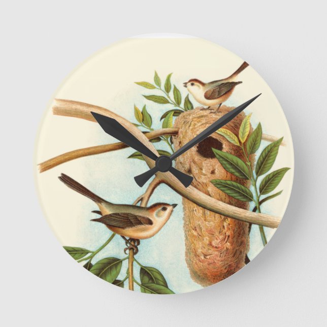 Horloge Ronde Couple d'oiseaux sur un nid perché sur une branche (Recto)