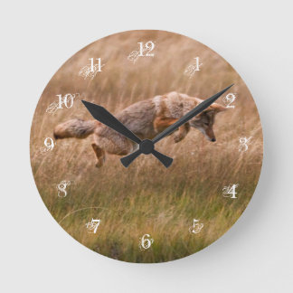 Horloge Ronde Coyote sautant - prés de gibbon