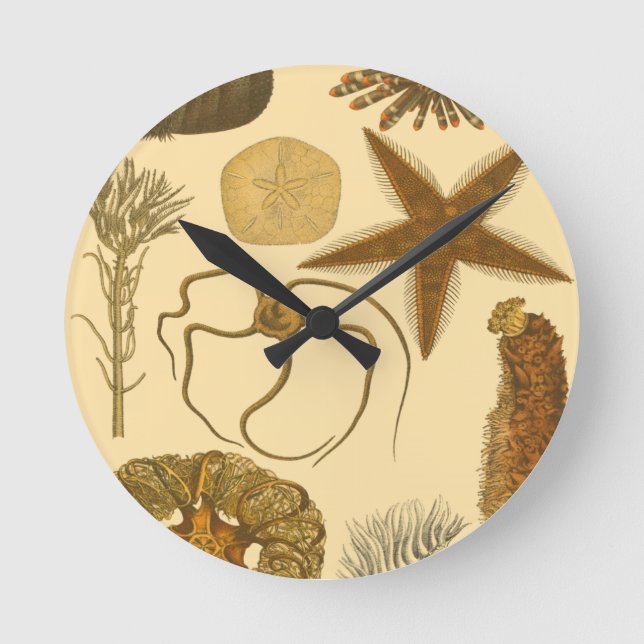 Horloge Ronde Créatures sous-marines (Recto)