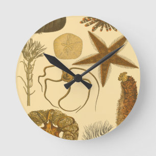 Horloge Ronde Créatures sous-marines de mer