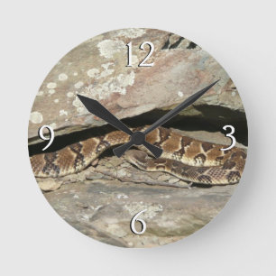 Horloge Ronde Crotale à Shenandoah National Park