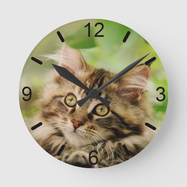 Horloge Ronde Cuisine Tabby Maine Cat Kitten Fluffy Head Photo (Recto)