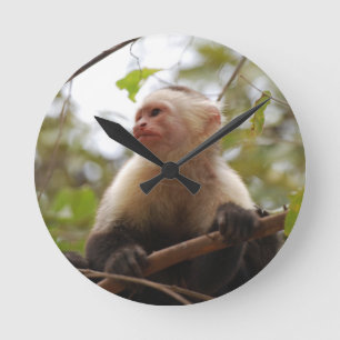 Horloge Ronde Curieux Capucin, singe du Costa Rica